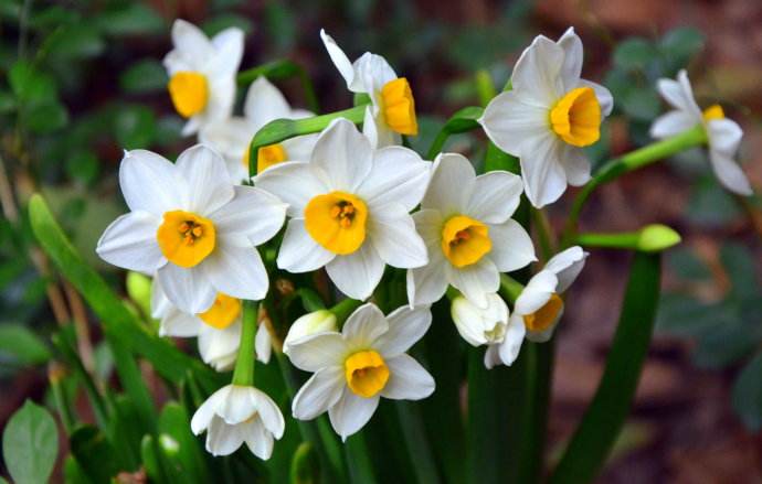 舌尖上的中国之福建美食篇粥,舌尖上的中国闽菜合集