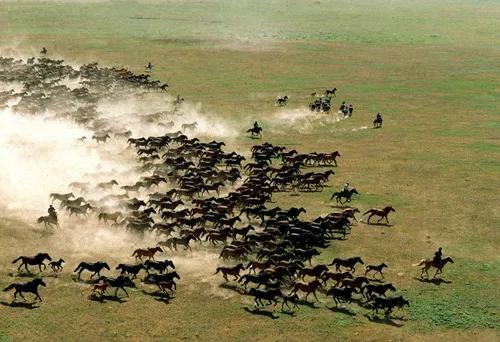 汉武帝被赐名叫什么,汉武帝赐名闻喜