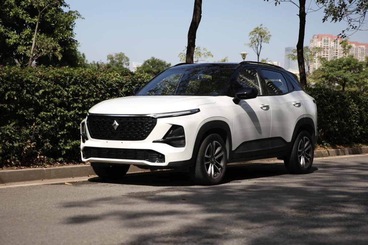 运动感轿跑,运动性能大轴距轻混车型推荐