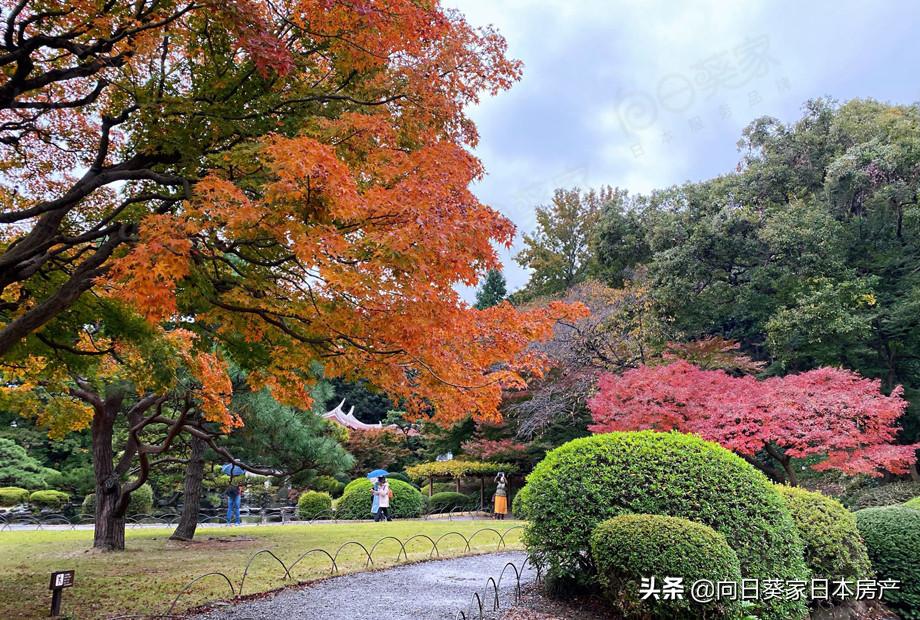 日本必打卡地标,日本京都一日游网红打卡地