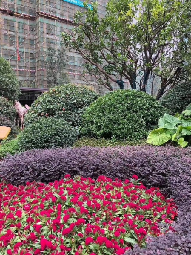 岳阳中建嘉和城可以装推窗吗,岳阳中建嘉和城周边规划