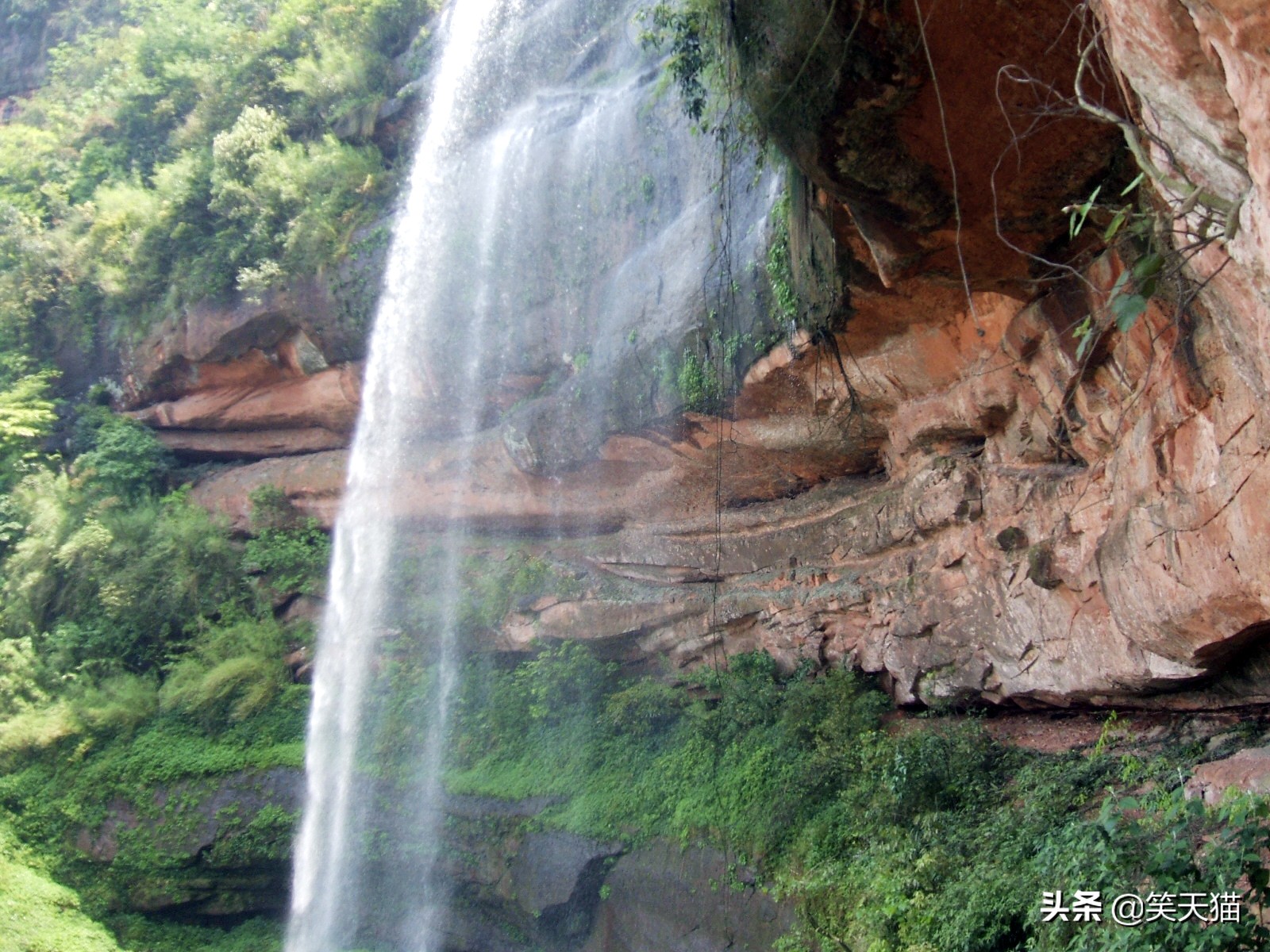 四川宜宾竹海风景,宜宾蜀南竹海全视频