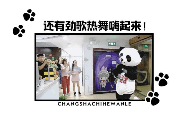 人均不到10元！买蛋糕送“熊猫”！火遍全国的网红蛋糕来啦