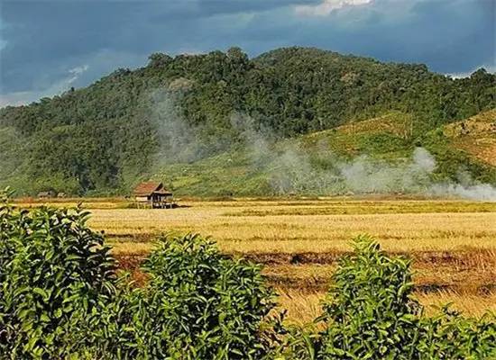 在泰国100块能买什么,泰国钱币100能换多少人民币