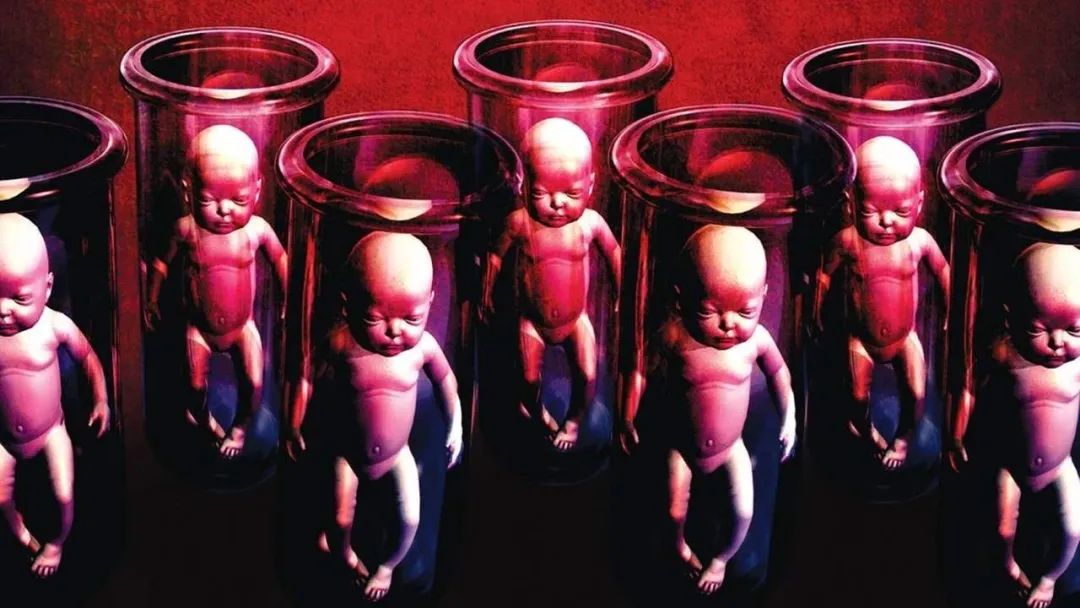 美丽新世界无白光,美丽新世界四季原本的样子