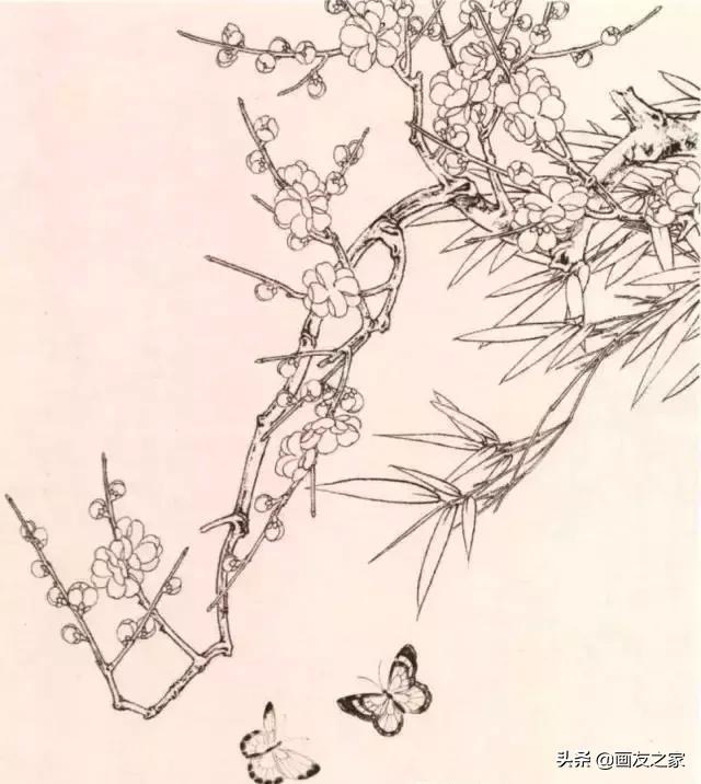 工笔梅花教学,工笔梅花设色技巧