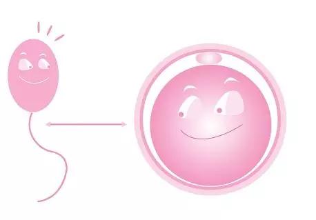 试管婴儿期间很劳累,试管孕妇都注意什么事项