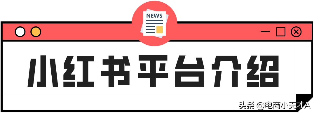 小红书蒲公英mcn入驻,小红书mcn机构运营