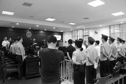 野猪、1600多斤蛇……横跨6省野生动物地下产业链被斩断