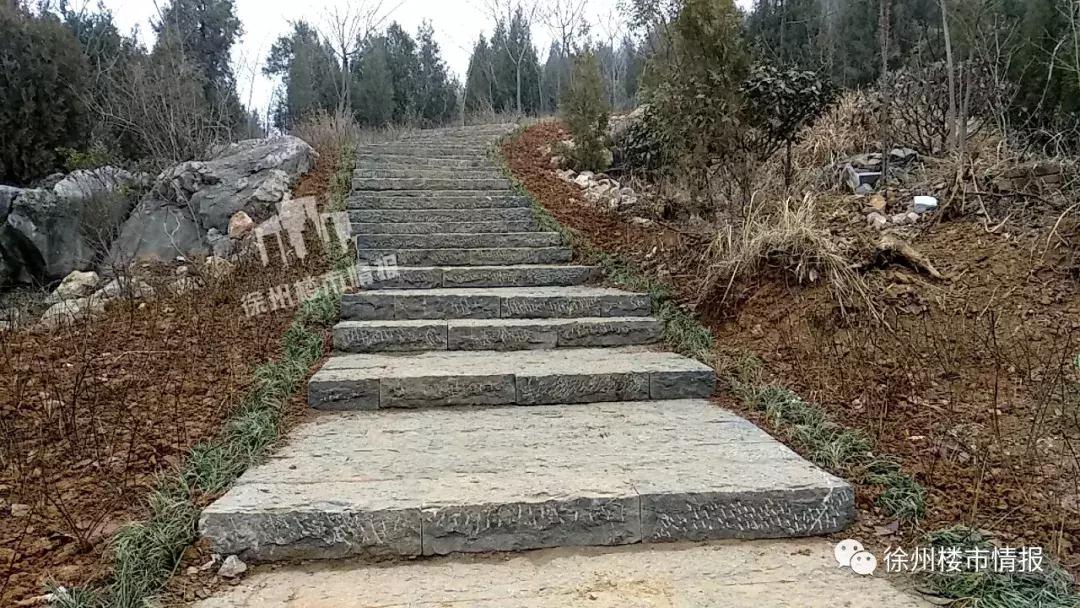 徐州森林公园,徐州森林公园开放时间最新