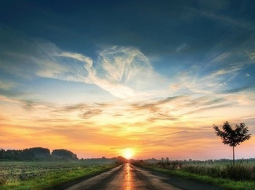 如果你是一个人该怎么办,如果你是一个极度焦虑的人