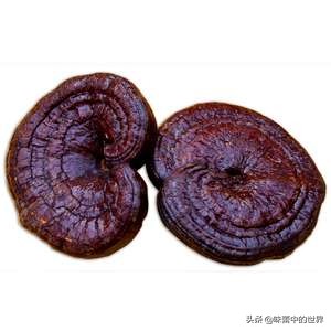 六安有什么特产小吃,安徽六安舒城特产美食