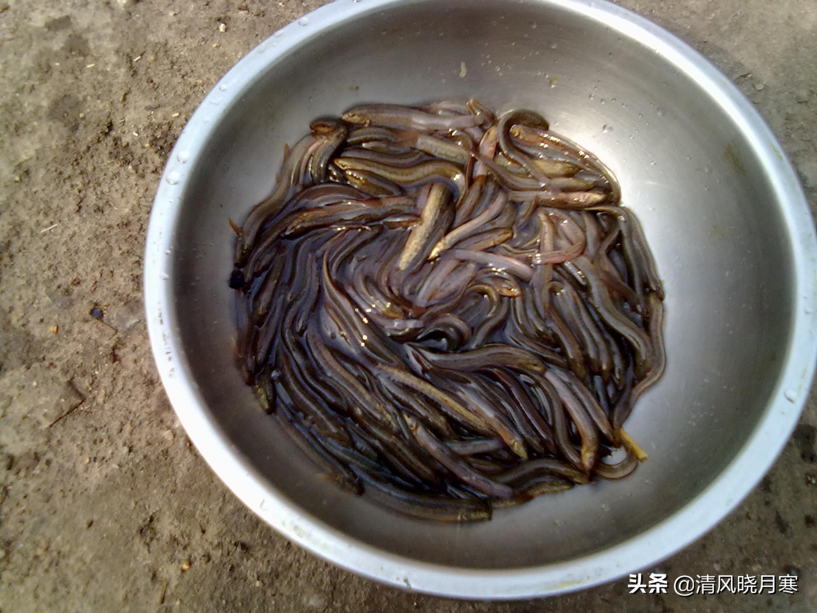 叉泥鳅技术,叉泥鳅