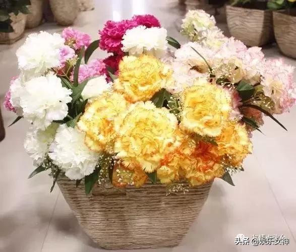 送给老师教师节礼物康乃馨,康乃馨教师节祝福语简短10字