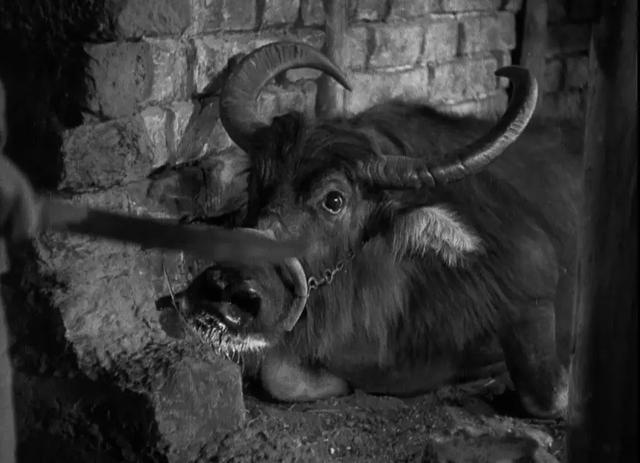 1937年农村老电影,最真实的农村老电影