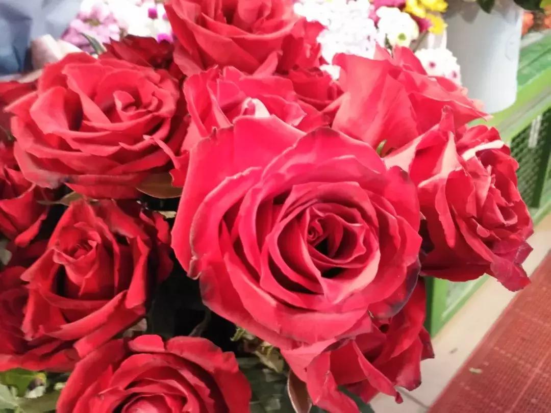 国内最治愈安静的地方,北京小众又文艺的地方