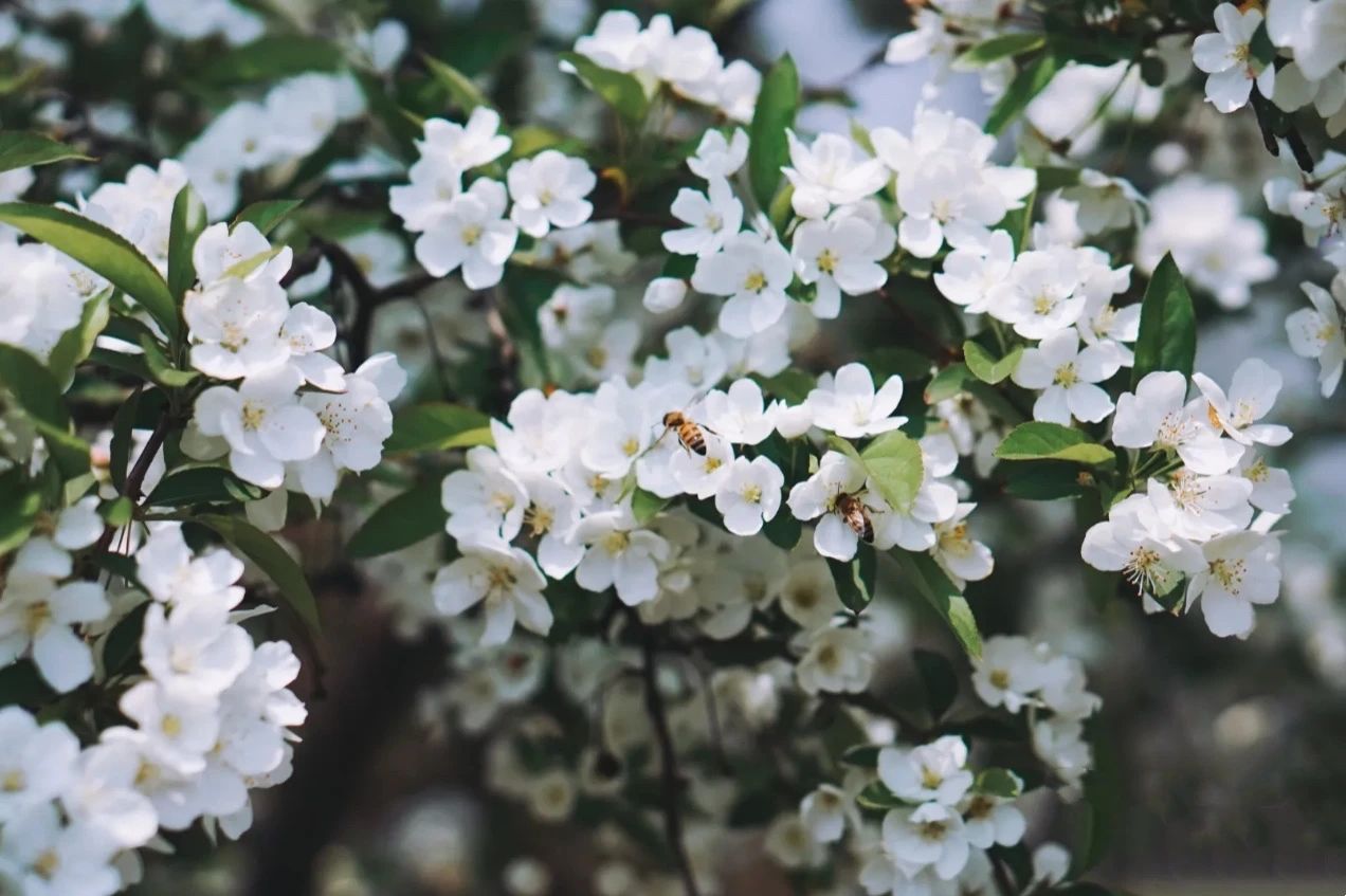 上海的热搜,最近热搜的上海