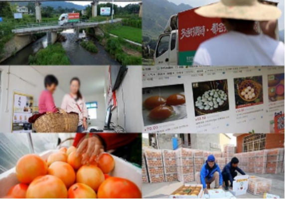 农村最稀缺的创业行业,未来5年农村创业风口