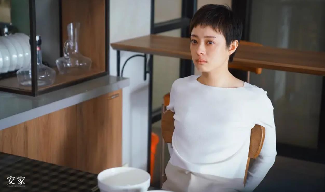 安家后续深度解析,安家透露出的问题