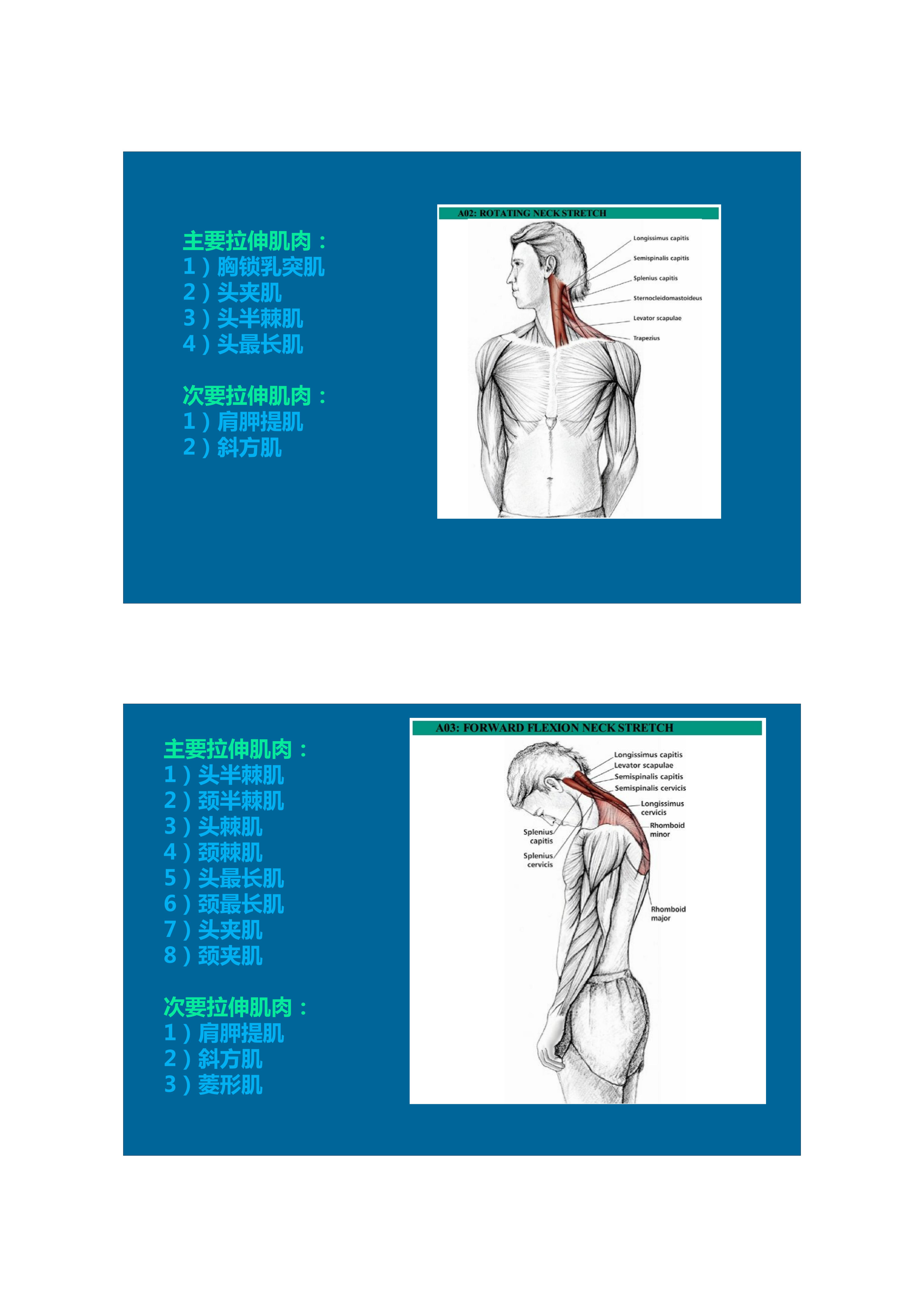 1分钟拉伸动作视频,拉伸腿部技巧