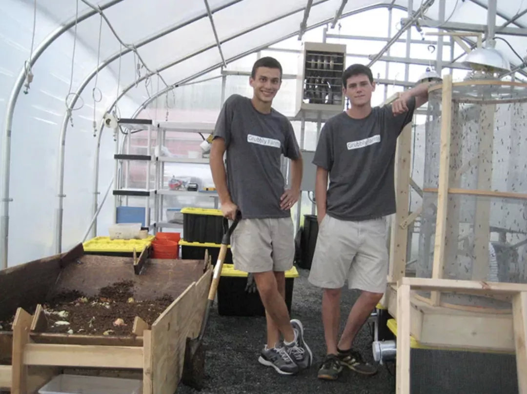 昆虫蛋白走红，重口蛆虫备受风投青睐