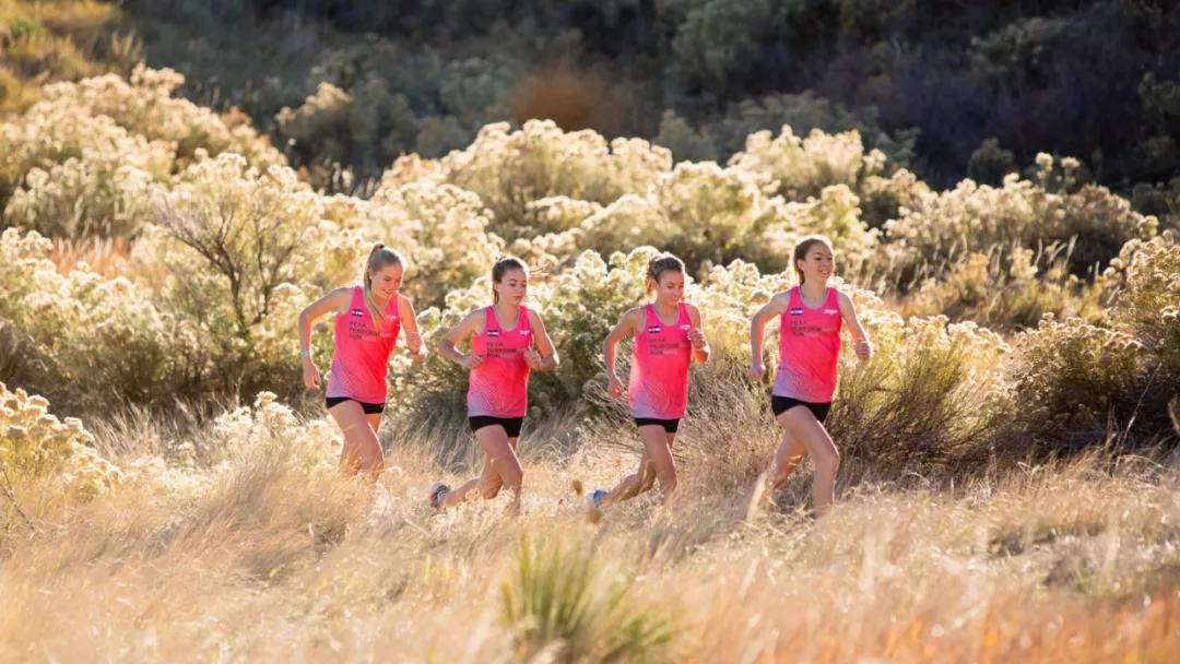 怎么跑心率才会降下来,怎样跑才能降心率