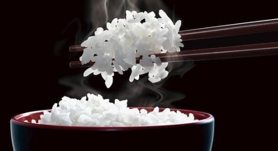 罗永浩电饭煲,罗永浩推荐过的电饭煲叫什么