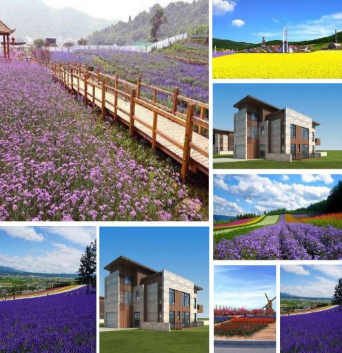 刘强东马化腾吉林省,马化腾投资刘强东