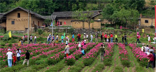 内乡一日游必去的10个免费景点,内乡石头村能去吗