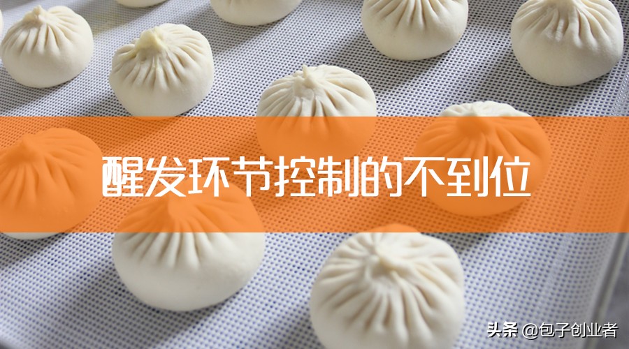 牛肉粉丝包子为什么开裂,包子怎么保存才不会开裂