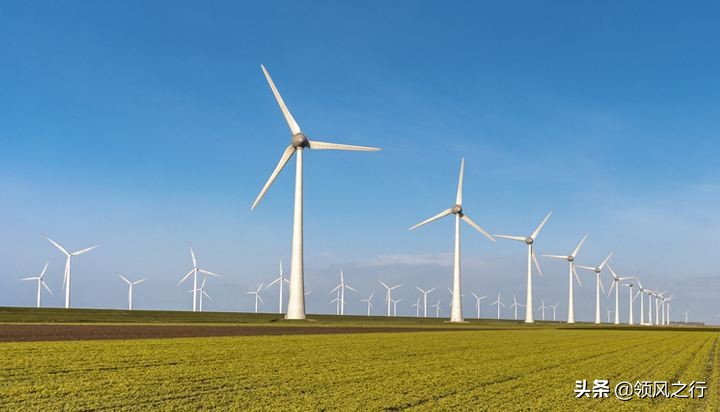 干货知识分享大热门视频,干货知识大分享