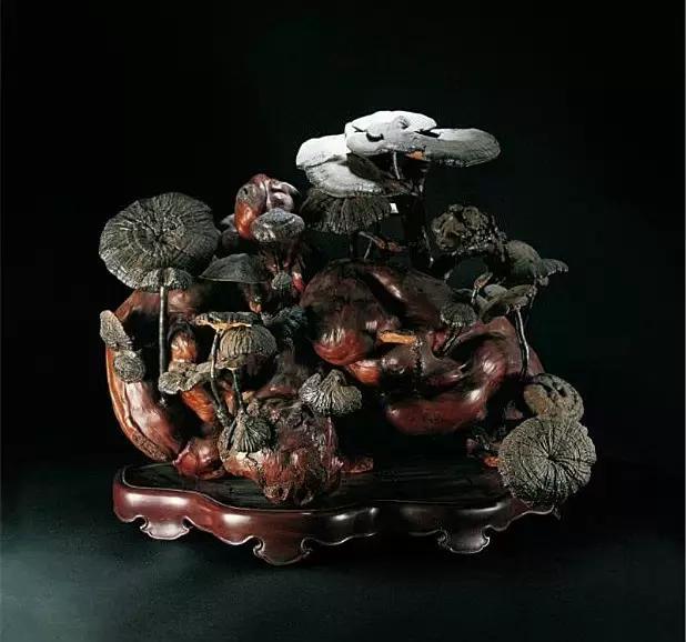 玩木头的乐趣,玩木头的18个基本知识