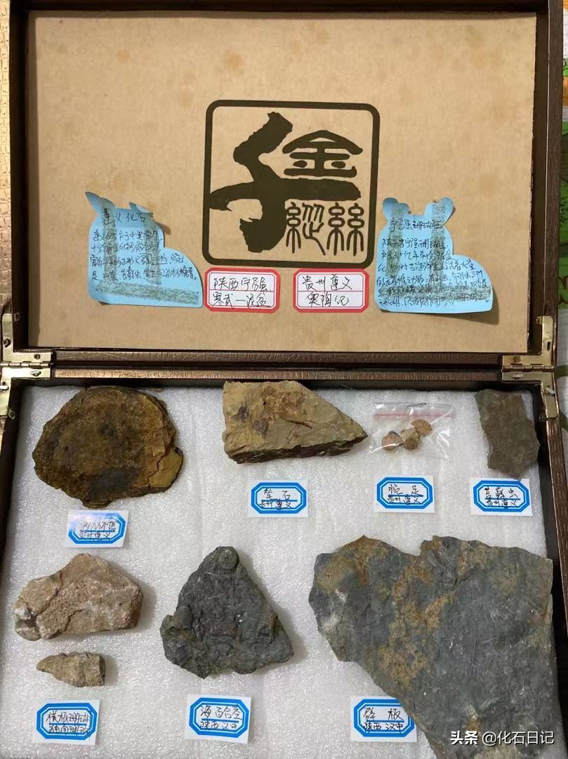 如果你的父亲正在从事中国最冷门的行业，你该去怎样支持他？