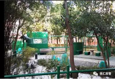 三无小区改造成美好家园,升级改造老旧小区变身幸福港湾