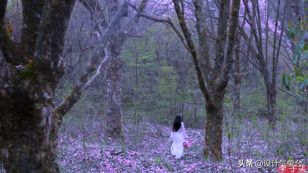 李子柒生活大揭秘,多少人羡慕李子柒的生活