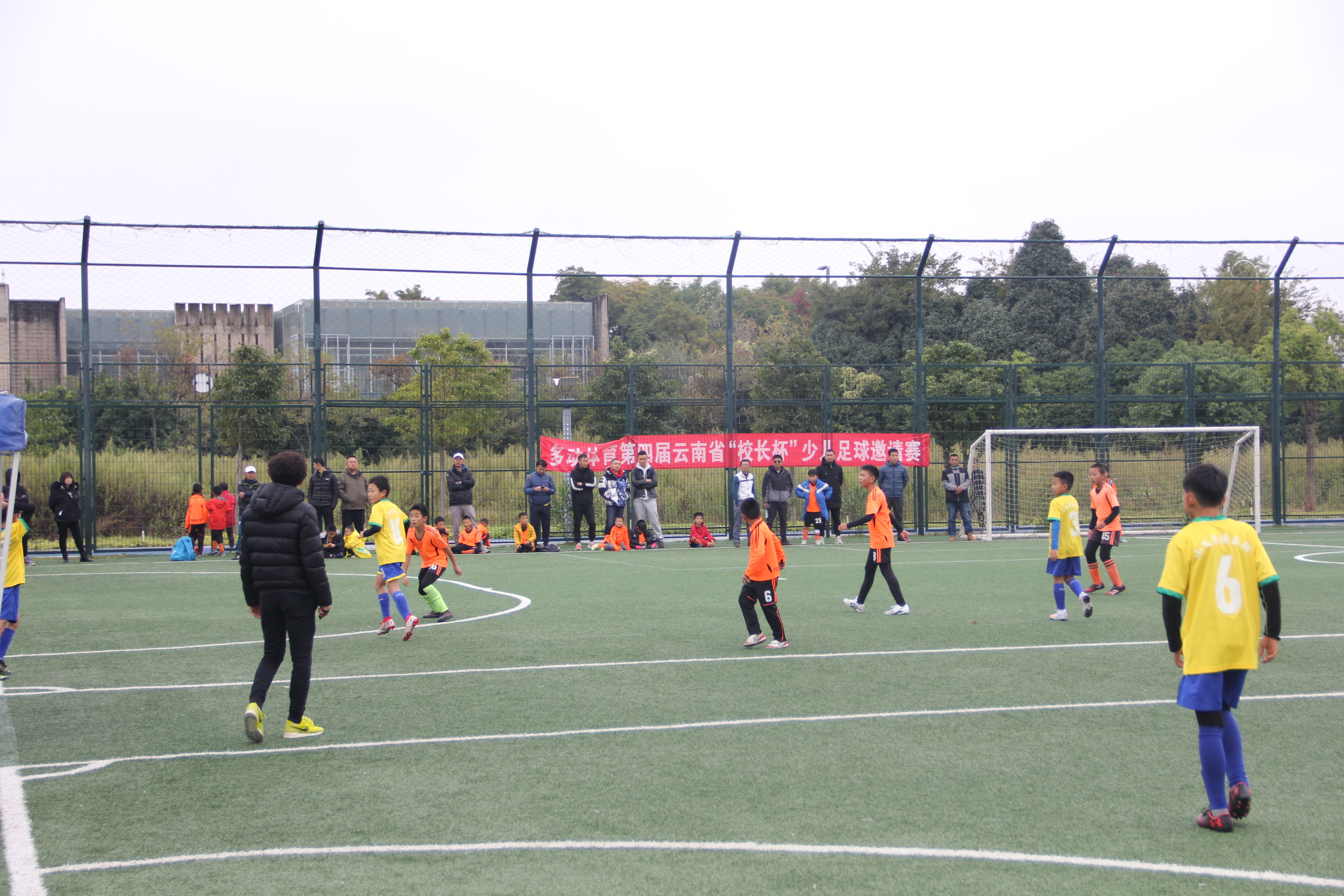 快乐运动健康成长第二十届运动会,快乐运动培养青少年