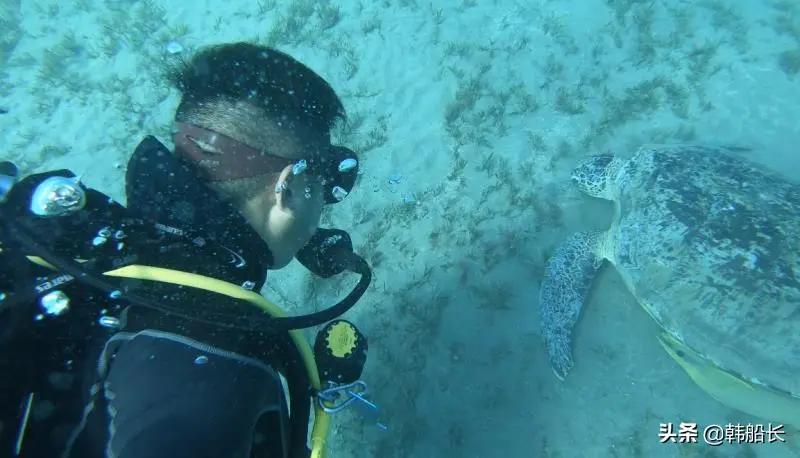 在死海沉浮，探秘无人岛，真正的航海生活比书里精彩一百倍