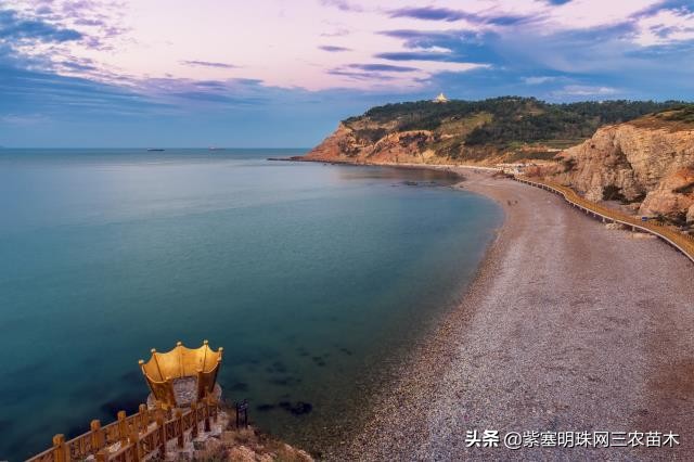 爱上一座城爱上一个人短视频,长岛大壮渔家民宿团购