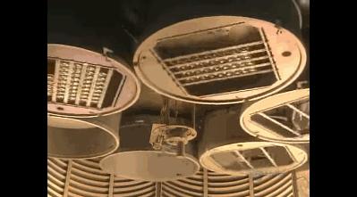 摄影八种镜头,摄影初学者需要什么样的镜头