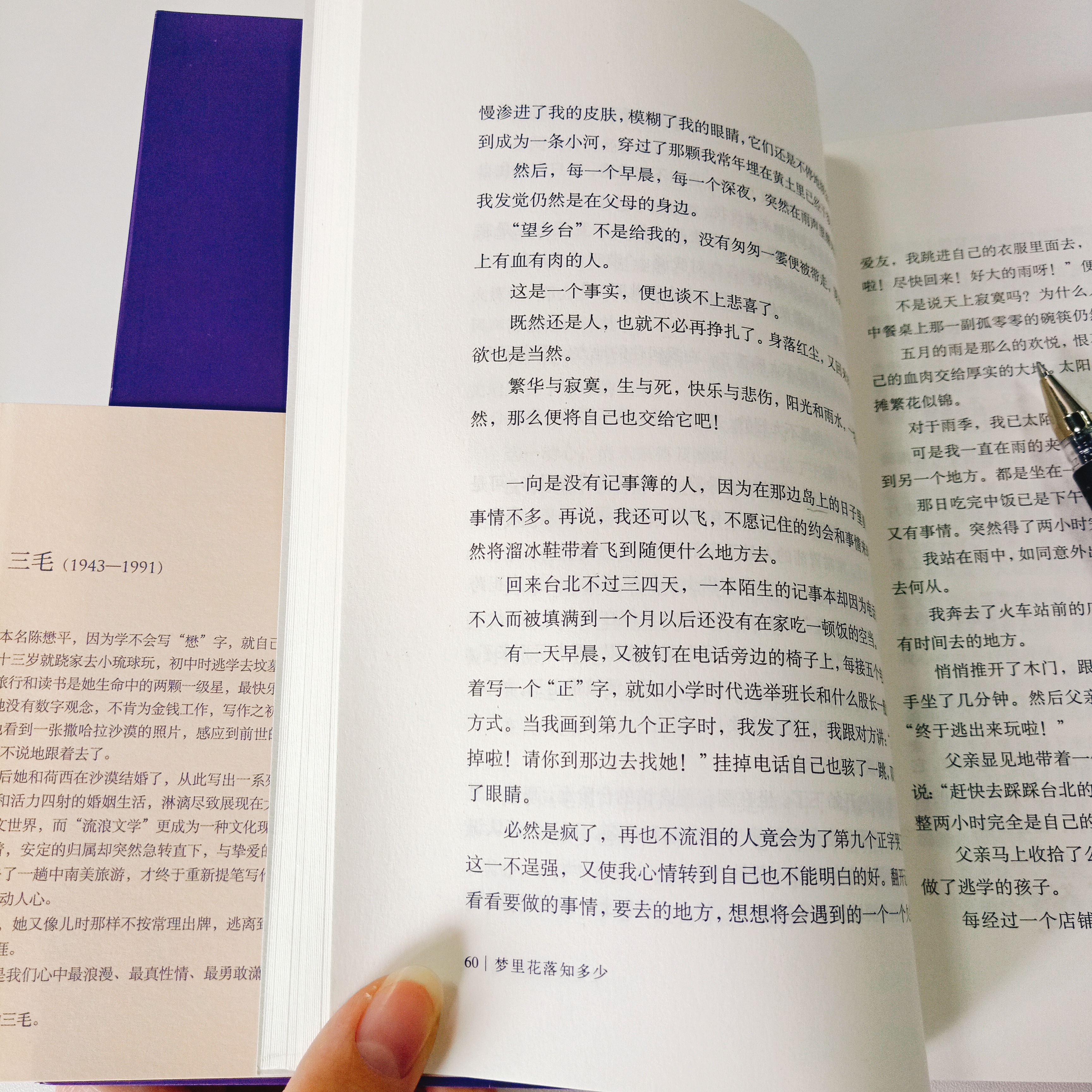 梦里花落知多少三毛摘抄赏析,梦里花落知多少三毛梗概