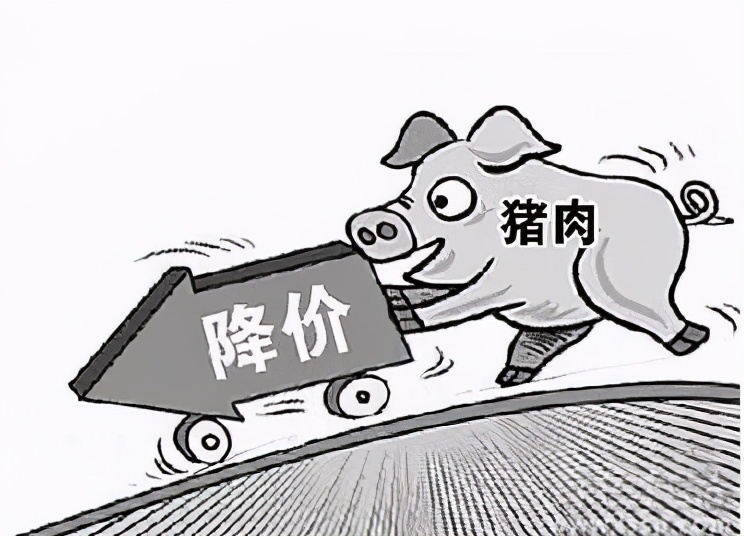 猪肉降价了我们能吃吗,现在什么蛋龟在降价