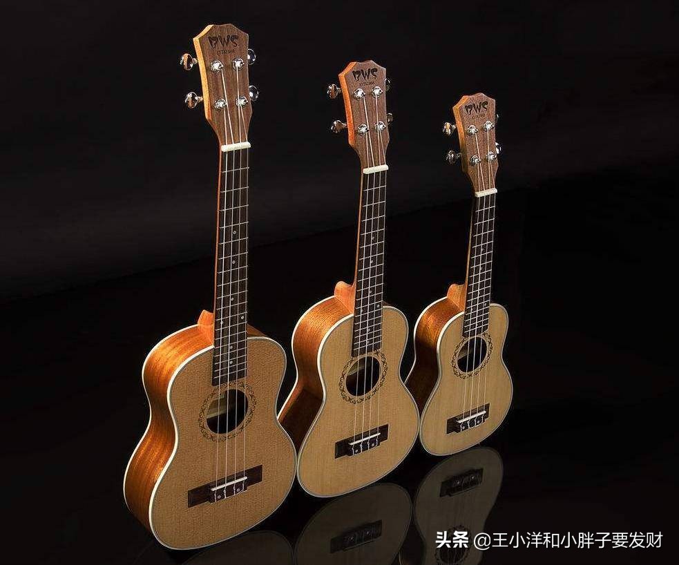 怎样选一把好的尤克里里,十大入门级尤克里里推荐