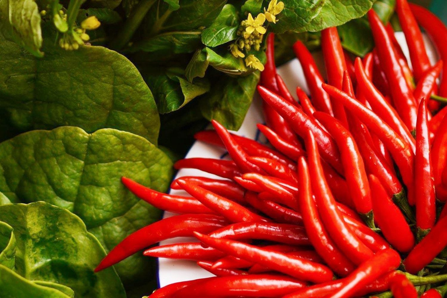 哺乳期妈妈到底要不要忌口,哺乳期间需要忌口吗吃什么合适