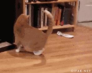 千里之行始于足下一双好鞋,千里之行需要一双好鞋