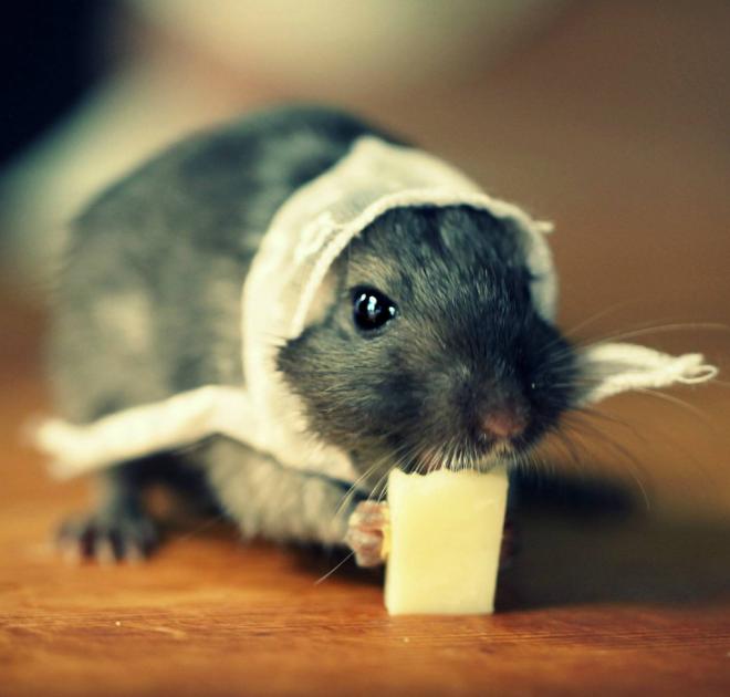 闰年跟普通年份有什么区别,闰年为什么会有366天呢