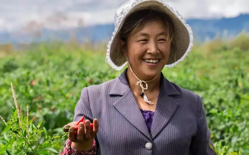 补贴来了速看领取方式,惠民一卡通都能领什么补贴