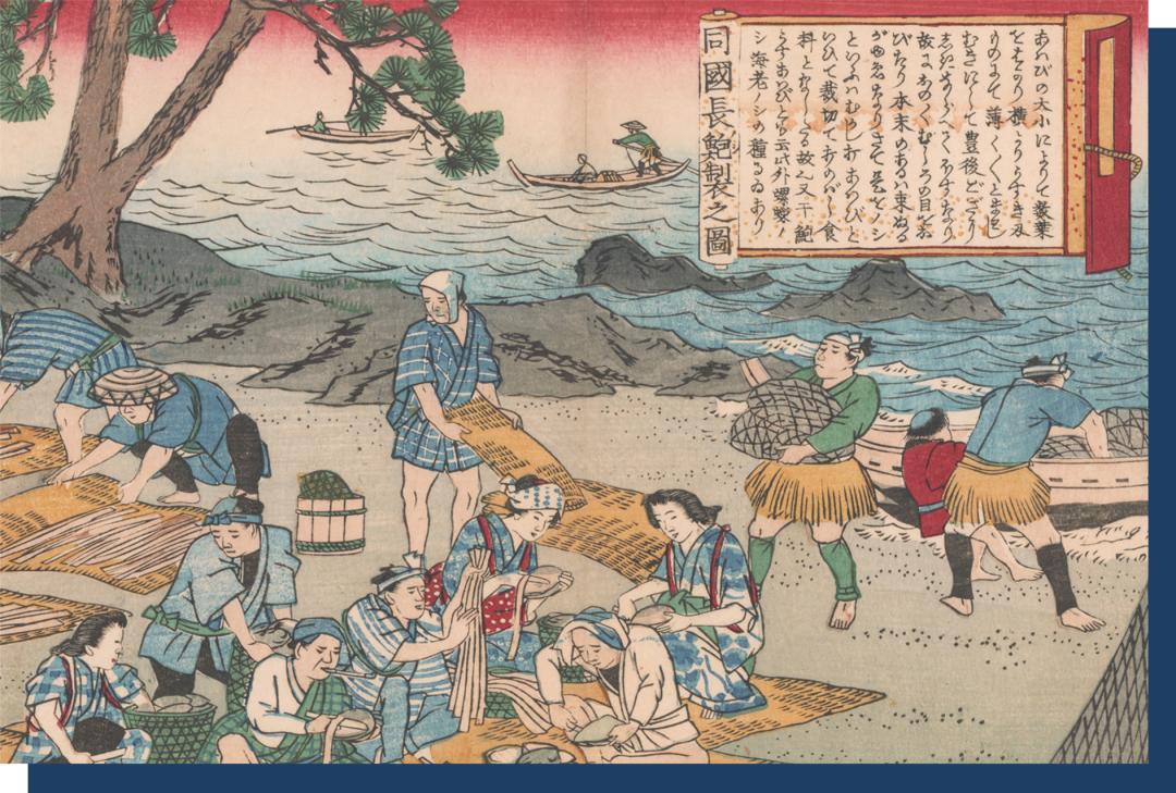 什么干鲍最贵,干鲍为什么比鲜鲍贵