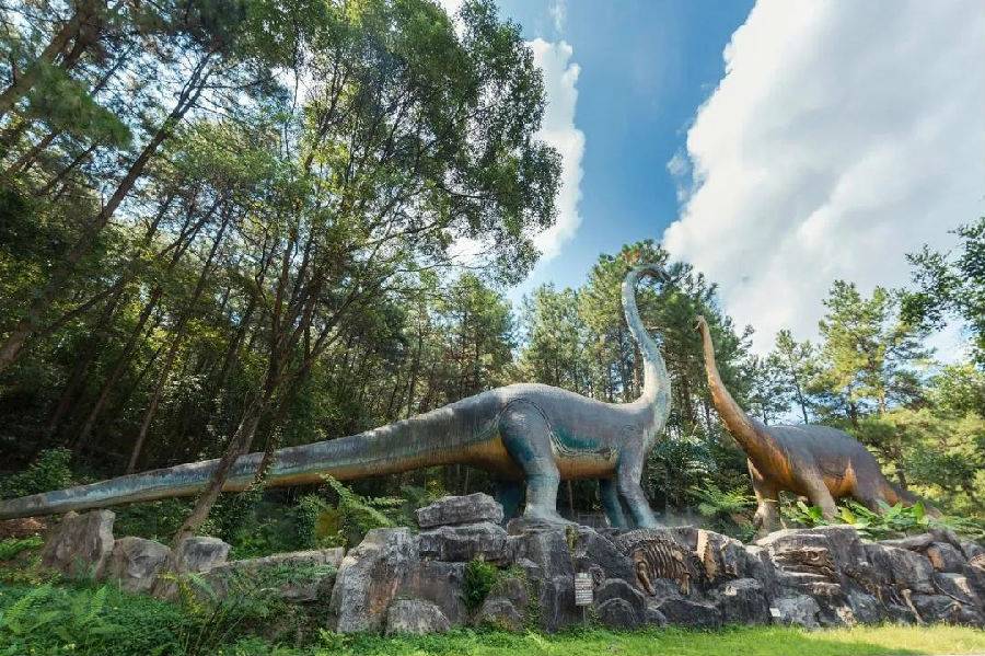 清远森波拉温泉奇妙世界,清远森波拉温泉旅游攻略