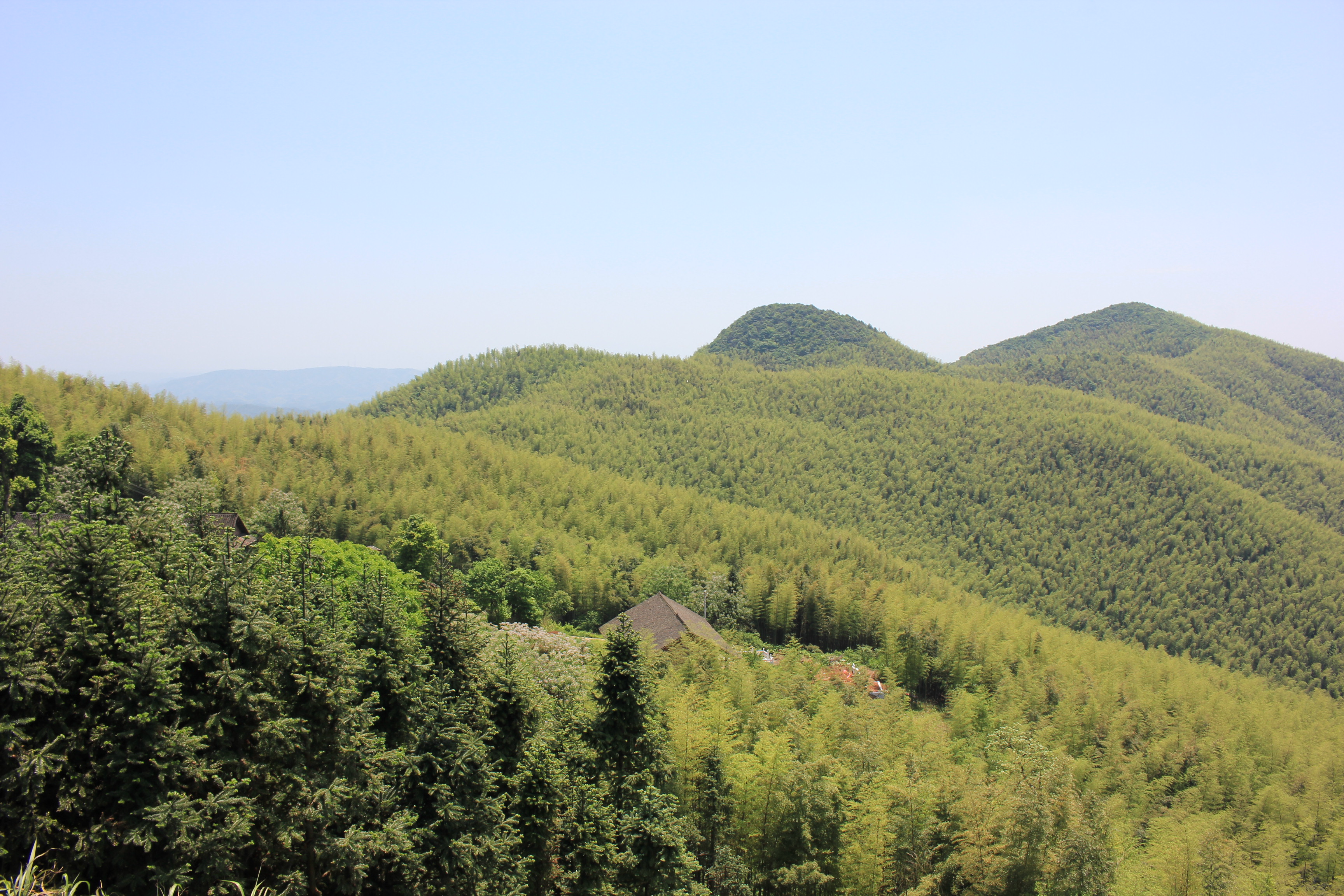 清明纪念逝者图片,清明古诗祭奠故人