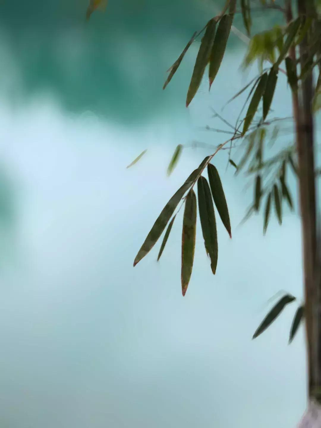 禅意水墨画拍摄技巧,摄影如何拍出水墨画